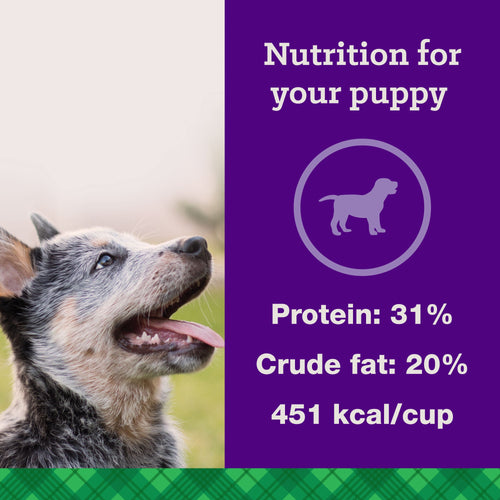 Nutrena® True Puppy Food