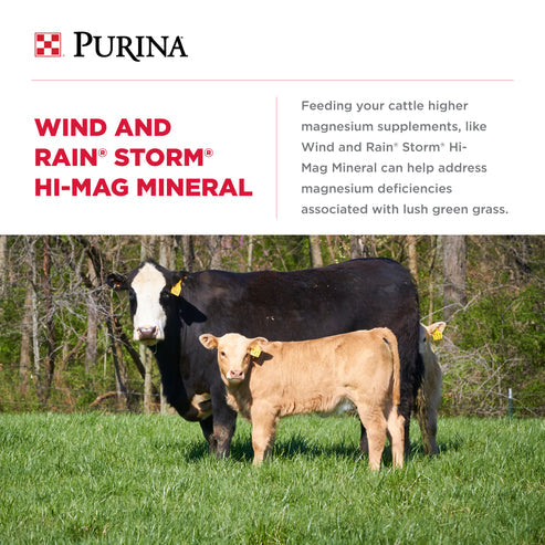 Purina® Wind & Rain® Storm® Hi-Mag 4 Complete Cattle Mineral