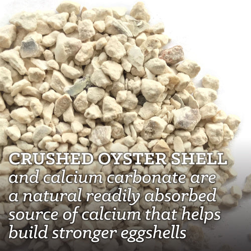 Nutrena® NatureWise® Oyster Shell