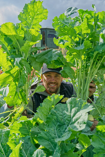 Domain Outdoor Bombshell Food Plot Mix