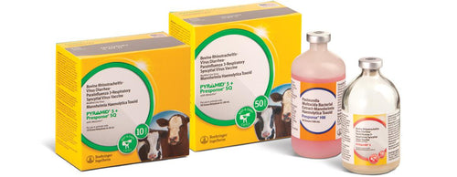 Boehringer Ingelheim Cattle Pyramid® + Presponse® SQ 10 Dose