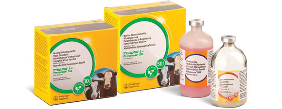 Boehringer Ingelheim Cattle Pyramid 5 Plus Presponse Sq 10 Dose