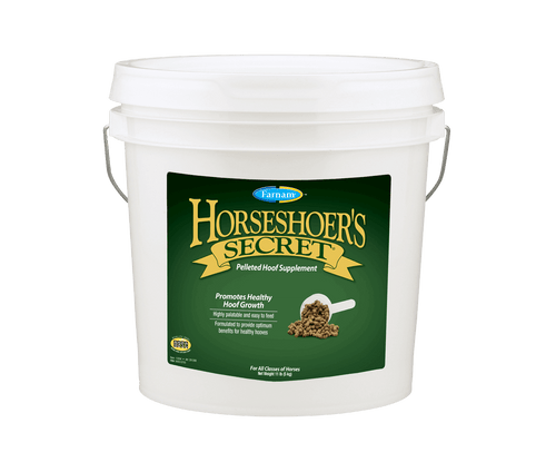 Farnam Horseshoer's Secret