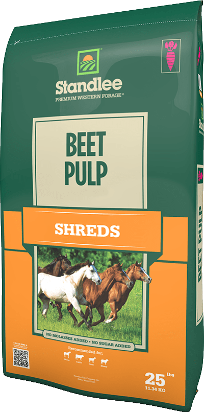 Standlee PREMIUM BEET PULP SHREDS