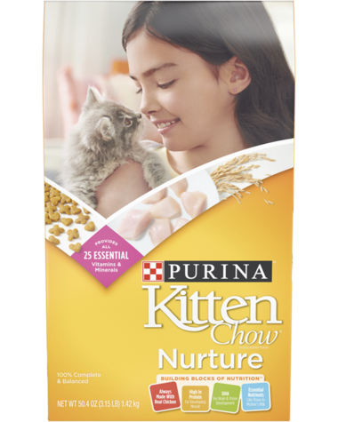 Purina Kitten Chow Dry Cat Food