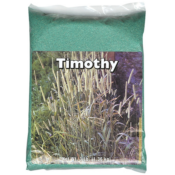 Timothy